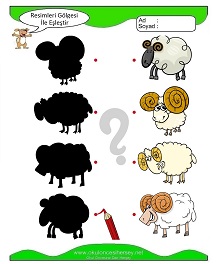 Gölgesi İle Eşleştir Çalışma Sayfaları